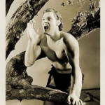 TARZAN J&Aacute; TEVE SEUS DIAS DE GL&Oacute;RIA, HOJE VIVE PERAMBULANDO NA ORLA.