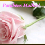 “PRA NÃO DIZER QUE NÃO FALEI DE FLORES”