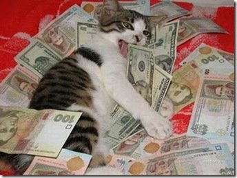 Resultado de imagem para fotos onde está o'dinheiro o gato comeu