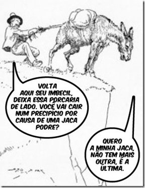 burro1