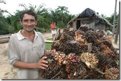 Programa de Agricultura familiar do Dendê.A esquerda, Marcelo Viana, de 45 anos, pequeno produtor.Moju/PA – 12.04.05Foto: Eliseu Dias