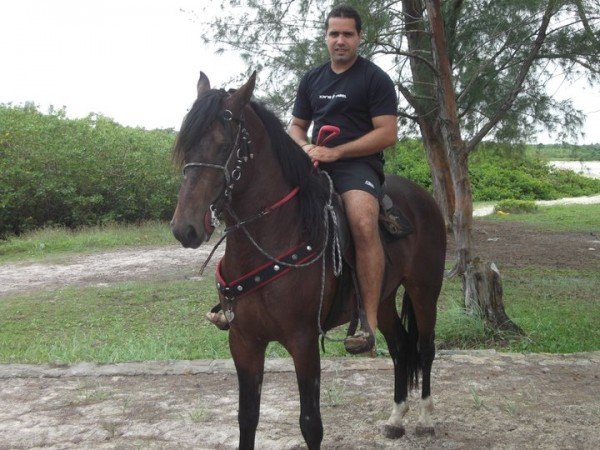 HENRY NETO